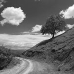 Náhorní Karabach 2008