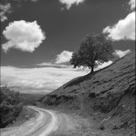 Náhorní Karabach 2008