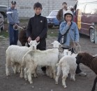 Kyrgyzstán 2010 - obrázek 15