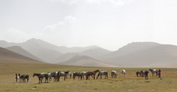 Kyrgyzstán 2010 - obrázek 23