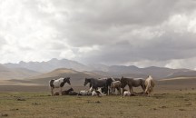 Kyrgyzstán 2010 - obrázek 34