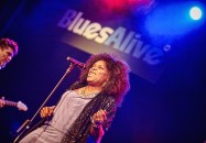 BLUES ALIVE Šumperk 2016 - obrázek 10