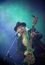 BLUES ALIVE Šumperk 2017 - obrázek 22