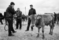 Arménie a Náhorní Karabach 2011 - obrázek 18