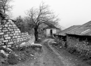 Arménie a Náhorní Karabach 2011 - obrázek 37